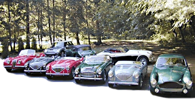 Roadster Collection